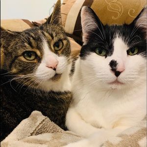 Meet your Posher, Kerilyn